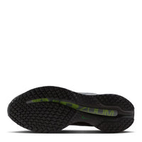 Nike Pegasus Premium 41 Gris & Vert