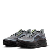Nike Pegasus Premium 41 Gris & Vert