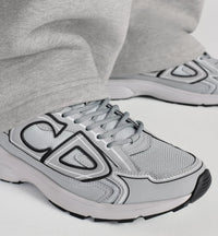 Dior B30 Grise