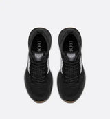 Dior B25