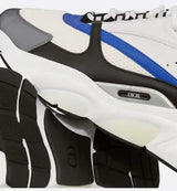 Dior B22 Bleu & Blanc Givré