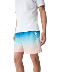 Jacquard Gradient Swim Shorts
