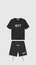 Ensemble FitsnDrip 1977