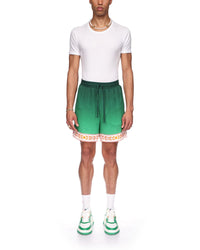 Unity Is Power Silk Shorts