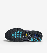 Nike Air Max Plus Reverse Grape
